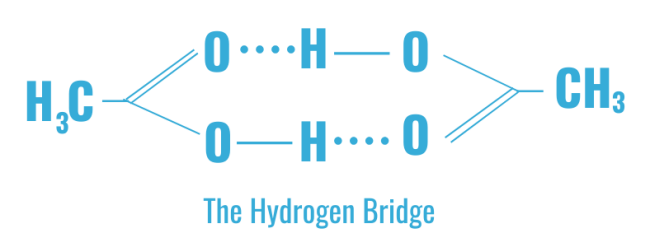 Hydrogen bridge